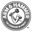 ARM & HAMMER